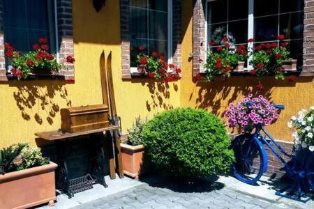 Atrium 24 Suite Sighişoara Buitenkant foto